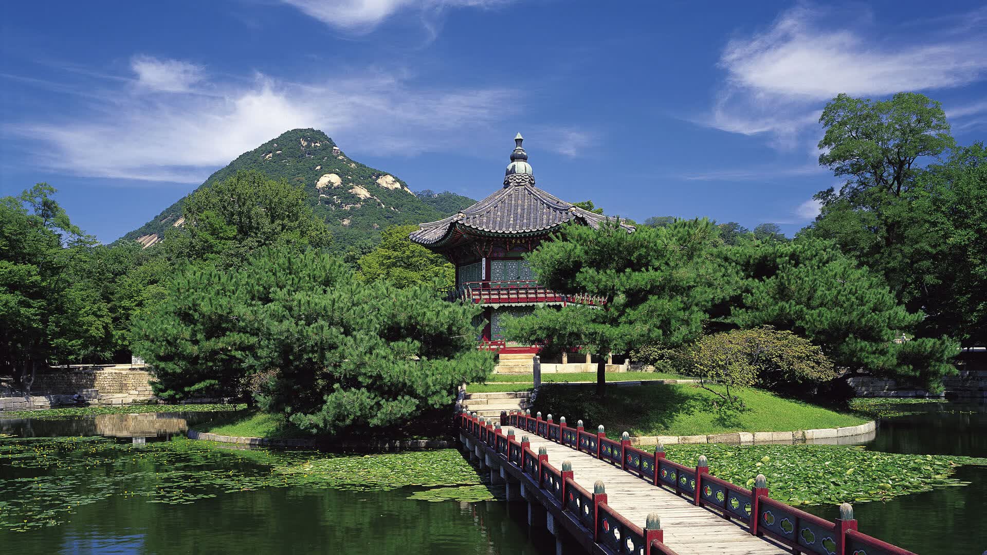 世界游泳锦标赛志愿者招募与培训体系优化建议,游泳世界锦标赛几年举办一次