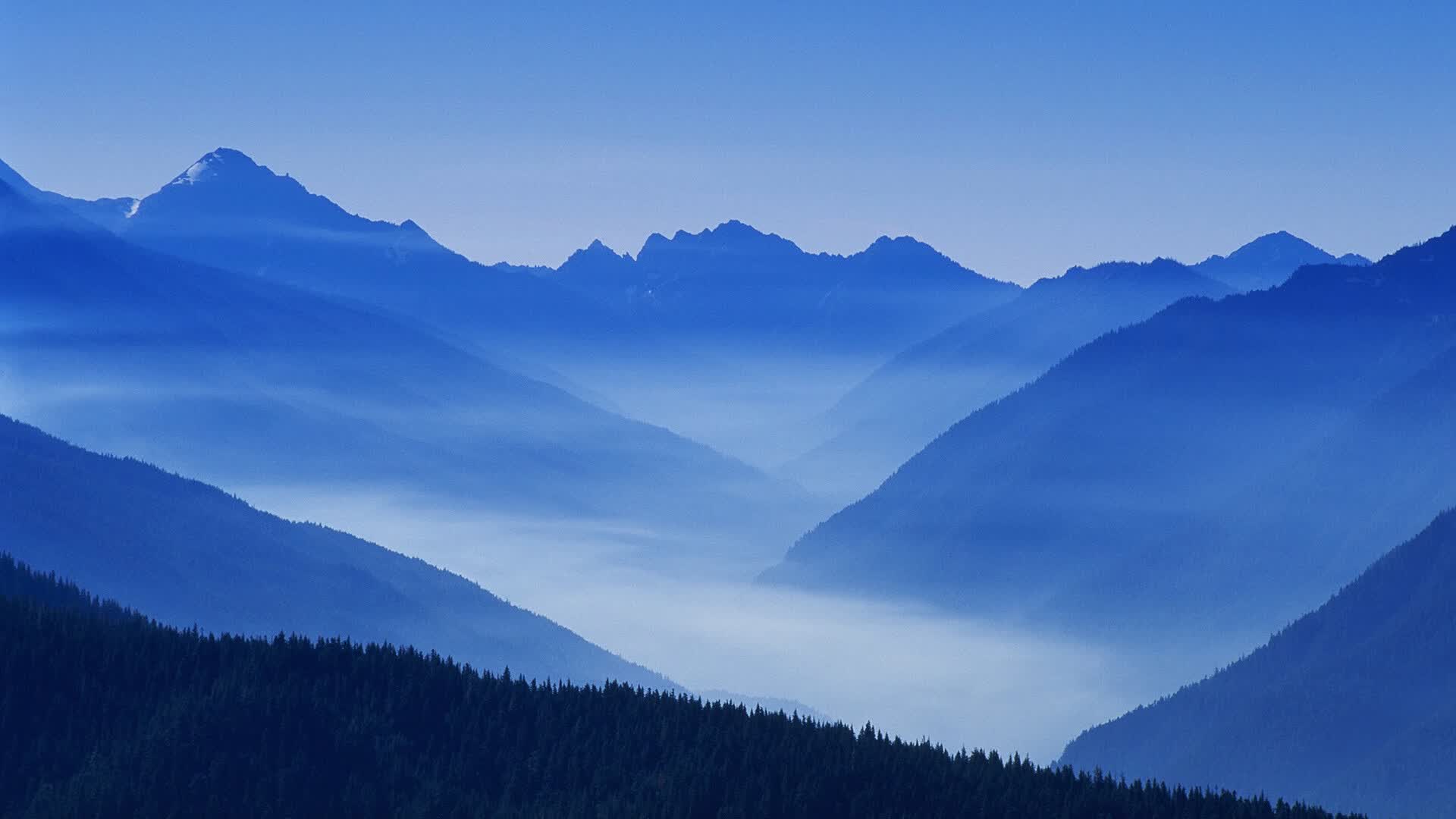 世界网球公开周:巡回赛积分重新洗牌,网球世界巡回赛太难了
